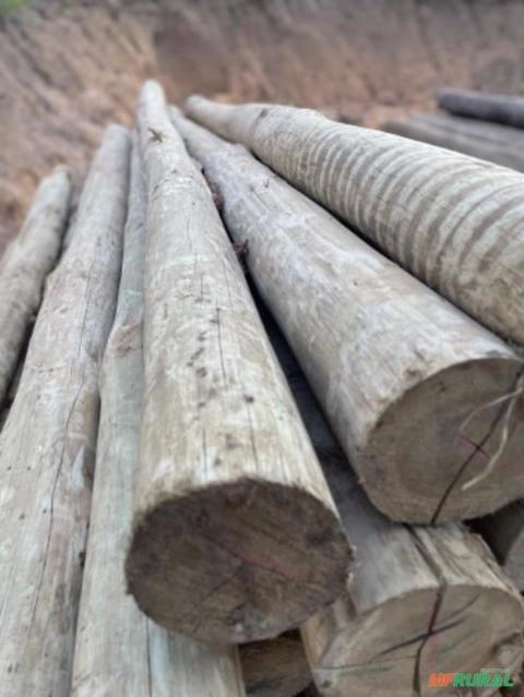 Imagem MADEIRA TRATADA DO EUCALIPTO Imagem MADEIRA TRATADA DO EUCALIPTO