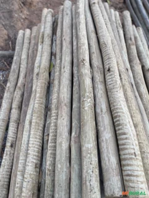 Imagem MADEIRA TRATADA DO EUCALIPTO Imagem MADEIRA TRATADA DO EUCALIPTO