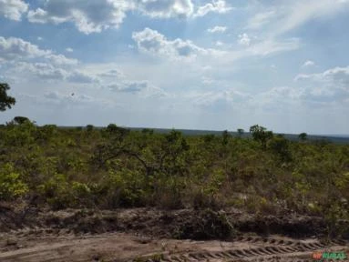 Fazenda - área para reserva ambiental