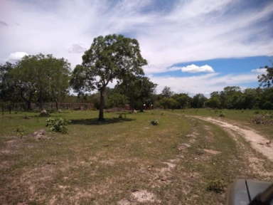 Fazenda em Tocantins 513 Hectare