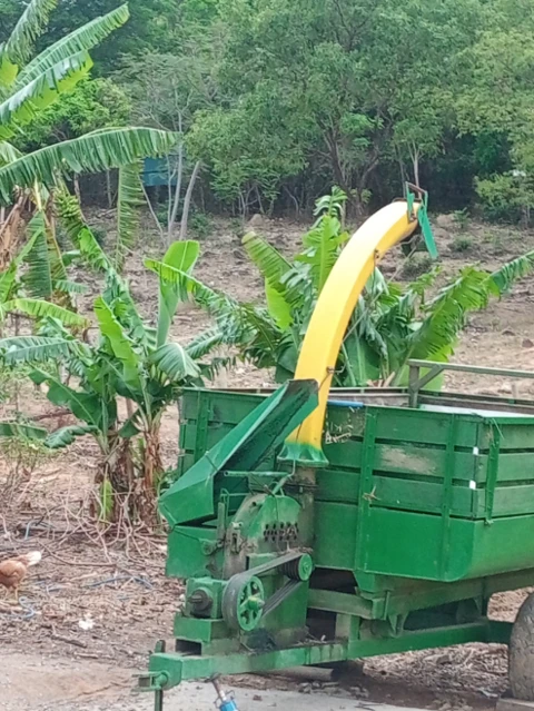 Pequena Fazenda toda formada e produtiva em Pará de Minas