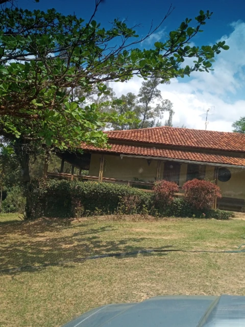 Pequena Fazenda toda formada e produtiva em Pará de Minas