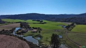 FAZENDA PARA SOJA À VENDA - total: 174 hectares - Área útil: 130 hectares - Valor: R$ 14.000.000,00