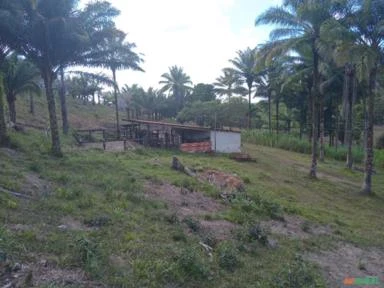 Fazenda de 70 hectares em Valença - BA