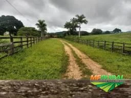 Fazenda Beira do Rio Maranhão em Goiás