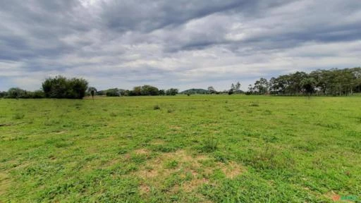 Fazenda com 60,9 ha  em Águas Claras - Viamão/RS