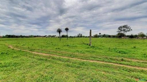 Fazenda com 60,9 ha  em Águas Claras - Viamão/RS