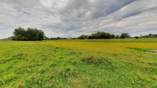 Fazenda com 60,9 ha  em Águas Claras - Viamão/RS