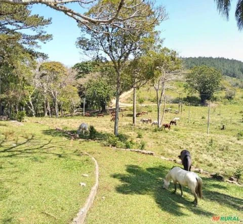 Fazenda de 370ha, Infraestrutura Completa, à Venda por R$25.500.000 em Viamão/RS