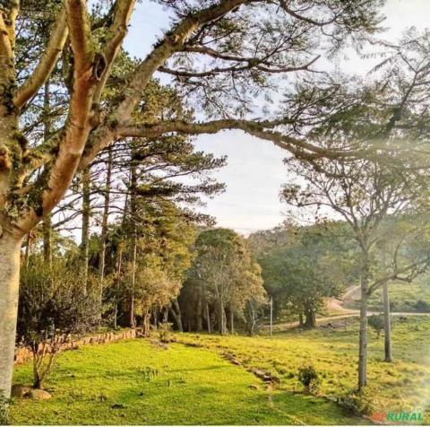 Fazenda de 370ha, Infraestrutura Completa, à Venda por R$25.500.000 em Viamão/RS