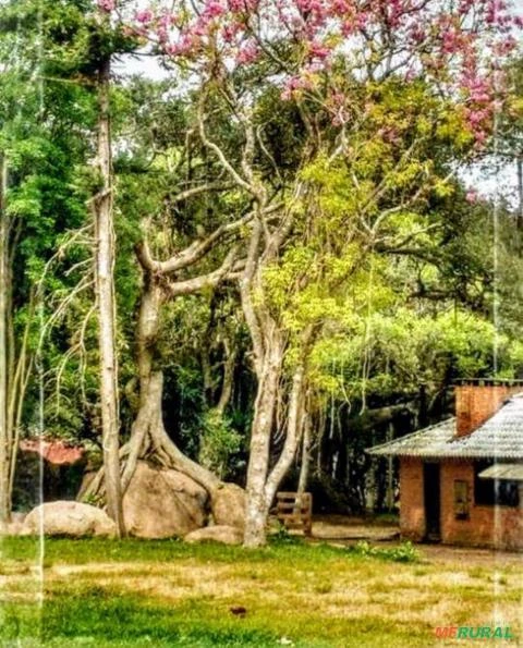 Fazenda de 370ha, Infraestrutura Completa, à Venda por R$25.500.000 em Viamão/RS