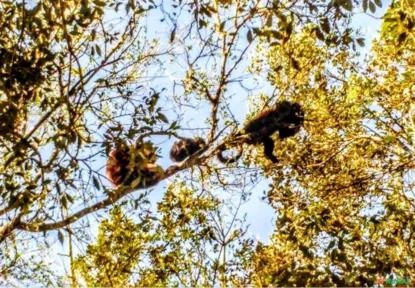 Fazenda de 370ha, Infraestrutura Completa, à Venda por R$25.500.000 em Viamão/RS