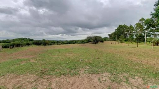 Fazenda em torno de 90ha, própria para Pecuária, à Venda por R$ 4.950.000 em Viamão/RS