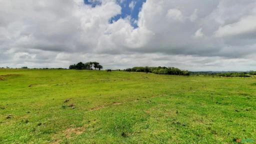 Fazenda em torno de 90ha, própria para Pecuária, à Venda por R$ 4.950.000 em Viamão/RS