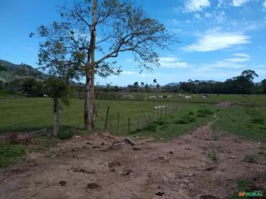 Fazenda A VENDA Em Paulo Lopes