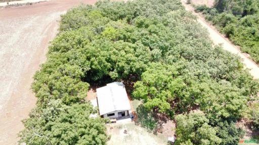 Fazenda no Mato Grosso 220 hectares