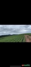 Fazenda em Cruzília Sul de Minas