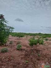 Alugo terra para usina fotovoltaica no estado do Piauí de 8 Hectares