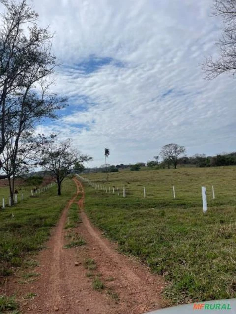 Fazenda 17 alqueires  em Anápolis - GO