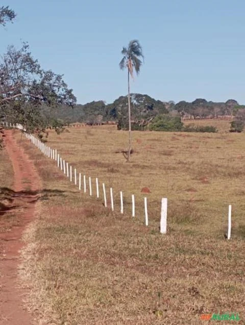 Fazenda 17 alqueires  em Anápolis - GO