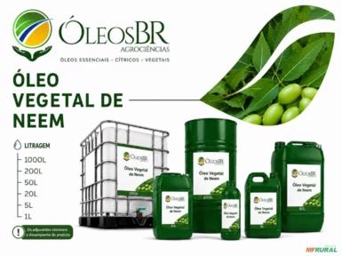 oleo de neem Imagem oleo de neem