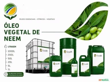 Óleo de Neem Imagem Óleo de Neem