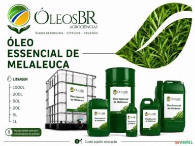 OLEO ESSENCIAL DE MELALEUCA Imagem OLEO ESSENCIAL DE MELALEUCA