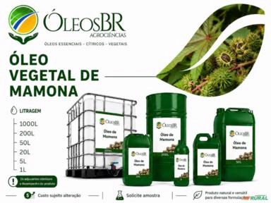 OLEO DE MAMONA Imagem OLEO DE MAMONA