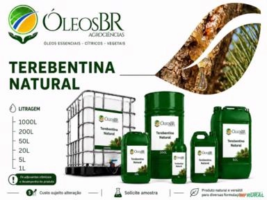 TEREBENTINA Imagem TEREBENTINA