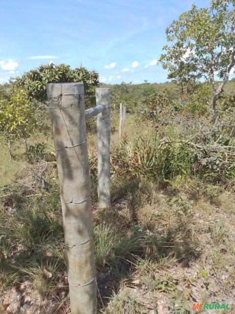 Fazenda á 36 km de Dianópolis -To