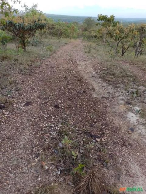 Fazenda á 36 km de Dianópolis -To