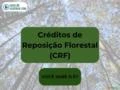 CREDITO DE REPOSIÇÃO FLORESTAL (CRF)