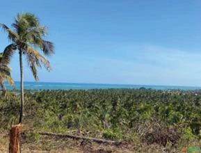Terreno Exclusivo com Vista para o Mar em Tatuamunha, Alagoas