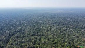 Propriedade na Floresta Amazônica: Melhor Preço