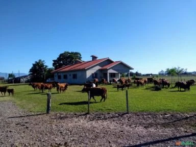 Fazenda no litoral de Santa Catarina com 330 hectares.