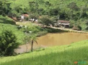 Fazenda com 120 hectares em Bom Jesus do Amparo - MG