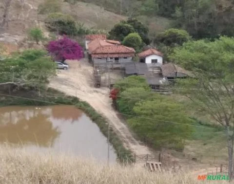 Fazenda com 120 hectares em Bom Jesus do Amparo - MG