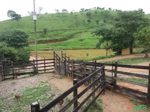 Fazenda com 120 hectares em Bom Jesus do Amparo - MG