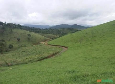 Fazenda com 120 hectares em Bom Jesus do Amparo - MG