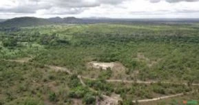 Fazenda boa esperança 26 Alqueires em Aliança do Tocantins - TO