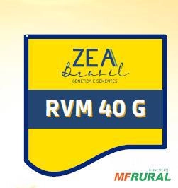 Imagem Semente de Milho Híbrido RVM 40 G Imagem Semente de Milho Híbrido RVM 40 G