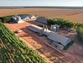 Oportunidade de inversão - Armazém de grãos 150 000t Mato Grosso