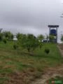 Vendo Sitio no municipio de Itanagra - BA com 12,5 hectares 100% preparado para irrigação