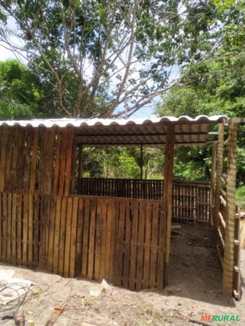 Vendo Sitio no municipio de Itanagra - BA com 12,5 hectares 100% preparado para irrigação