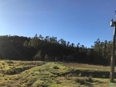 Fazenda com 878,2 Hectares em Lontras / Apiúna - SC - Reflorestamento