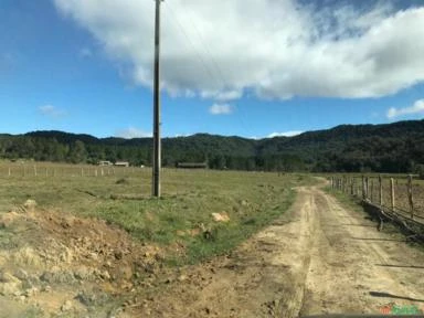 Fazenda com 878,2 Hectares em Lontras / Apiúna - SC - Reflorestamento