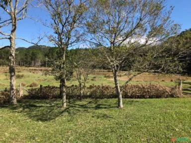 Fazenda com 878,2 Hectares em Lontras / Apiúna - SC - Reflorestamento