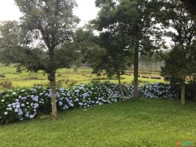 Fazenda com 878,2 Hectares em Lontras / Apiúna - SC - Reflorestamento