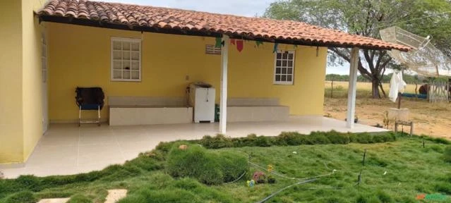 Fazenda de 415,9 Hectares na Região de Campo Formoso - BA