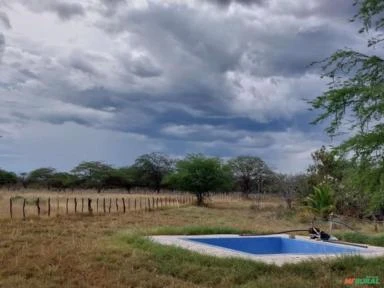 Fazenda de 415,9 Hectares na Região de Campo Formoso - BA